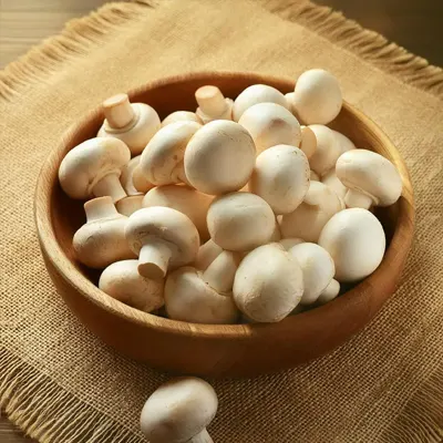 Mushroom Mushroom - Image 1