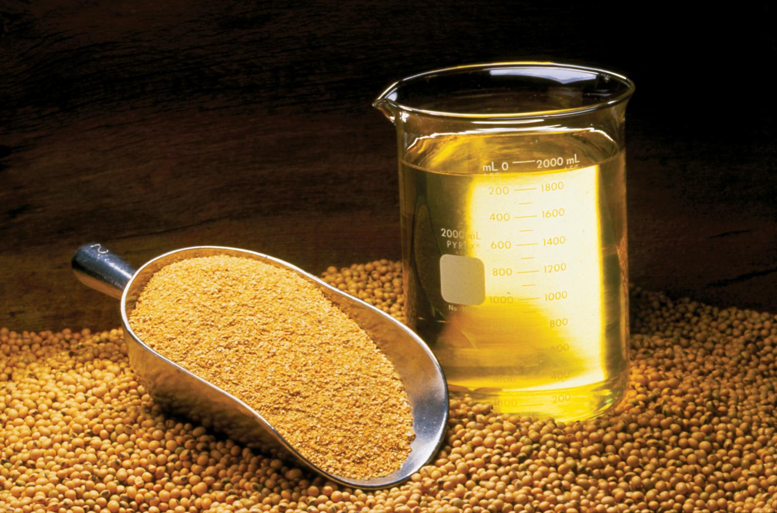 Soybean Meal Soybean Meal - Image 1